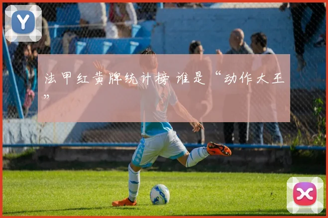 法甲红黄牌统计榜 谁是“动作大王”