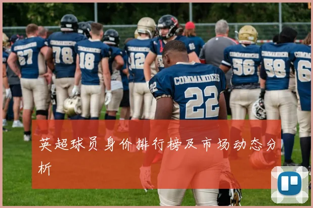 英超球员身价排行榜及市场动态分析