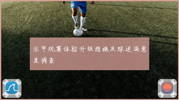 法甲观赛体验升级措施及球迷满意度调查