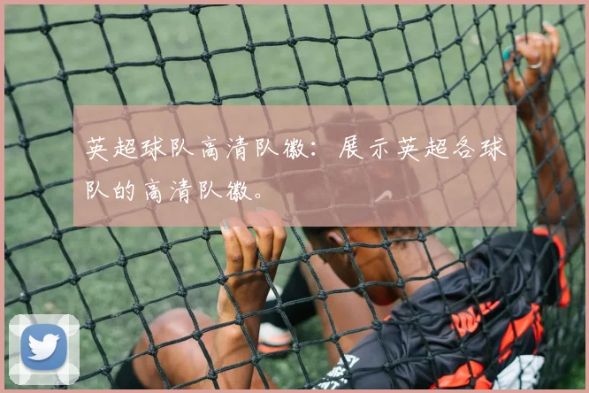 英超球队高清队徽：展示英超各球队的高清队徽。