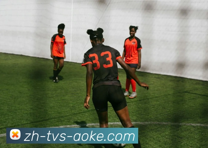 多媒体互动体验